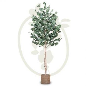 Planta artificial Eucalipto MAIA SHOP 150 cm