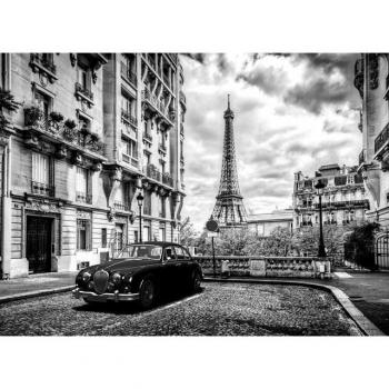 Papermoon Wandtapete »Paris in Monochrom«
