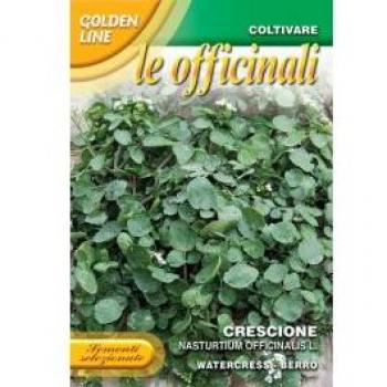 Cresson des Fontaines Officinal