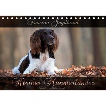 Passion Jagdhund - Kleiner Münsterländer