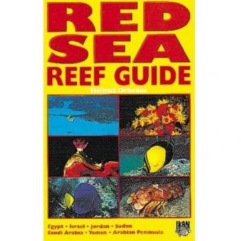 Red Sea Reef Guide