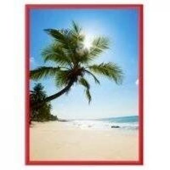 Showdown® Displays Klapprahmen rot 24,1 x 32,8 cm
