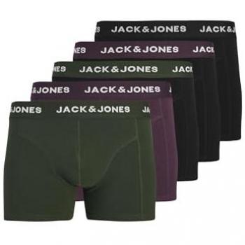 JACJJ Bóxer Elegante