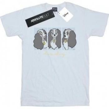 Tramp in Style Women’s Cotton Blend Tee