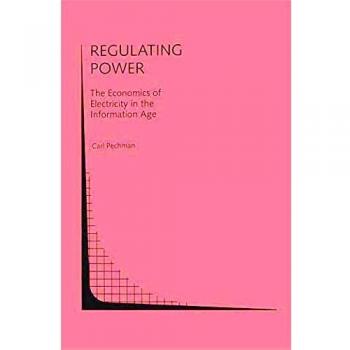 Regulating Power: The Economics of Electrictiy in the Information Age: The Economics Of Electricity In The Information Age (Topics in Regulatory Economics and Policy, 15, Band 15)