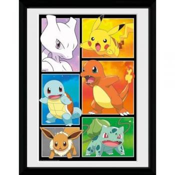 Póster Panel Pokémon