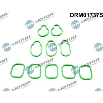 Gasket Set for Intake Manifold DRM01737S