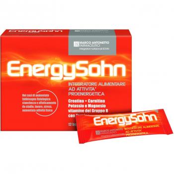 ENERGYSOHN 12 BS