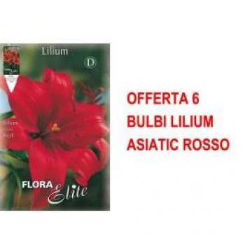 Offerta 6 Bulbi Lilium Asiatico Rosso