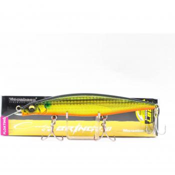 CookAI MegaBass Esca Galleggiante