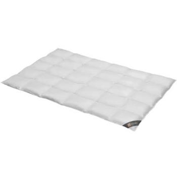 Daunenbettdecke SPESSARTTRAUM Bronze, 200 cm x 200 cm, normal, weiß, allergikerfreundlich