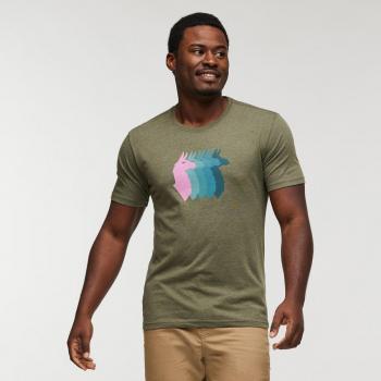 Cotopaxi Llama Sequence Organic T-Shirt grün - L