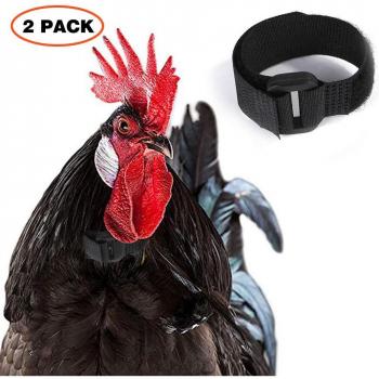 Collier anti-crochet pour poulet, 2 pièces