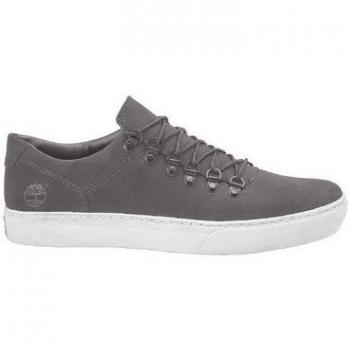 Timberland Adv 2 0 Cupsole Alpi Graphite 7 US