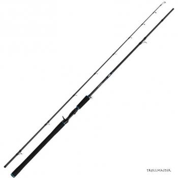 Salmo Pilkrute Salmo Trollmaster 2,40m 40-60g