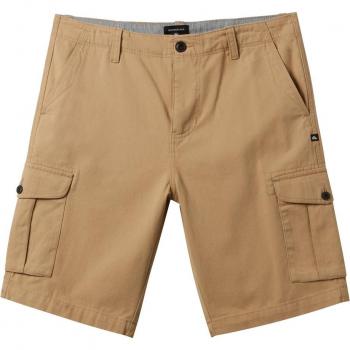 Pantalones Cortos Crucial Battle Quiksilver Beige