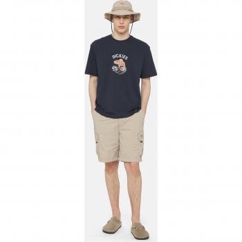 Dickies Shorts Cargo Jackson Uomo Arenaria Size XL