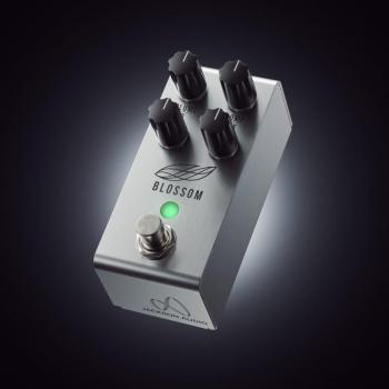 Jackson Audio Blossom
