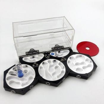 3D High-Grade Space Station Ant Nest