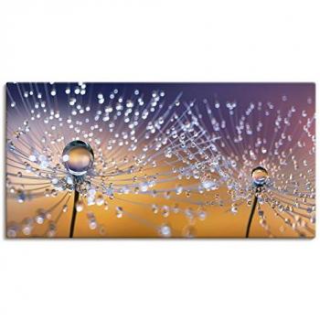 Artland Wandbild Pusteblumen Tautropfen, Blumenbilder (1 St), als Alubild, Outdoorbild, Leinwandbild, Poster, Wandaufkleber