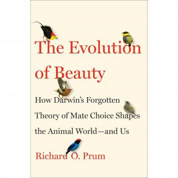 The Evolution of Beauty