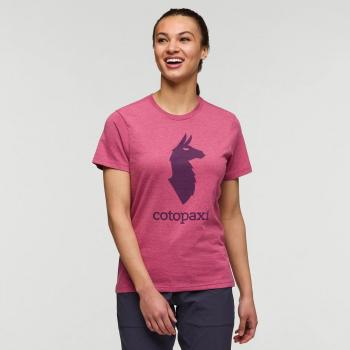 Lama Elegante Cotopaxi Donna