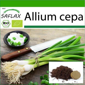 SAFLAX Organic White Lisbon Salad Onions, 150 Seeds with Substrate