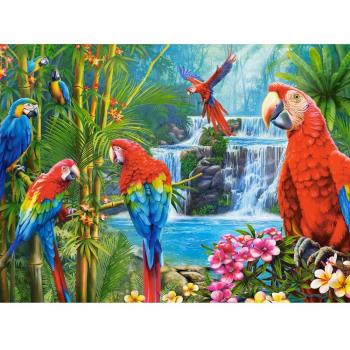 Puzzle 2000 pièces Réunion de Perroquets