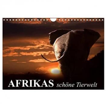 Afrikas schöne Tierwelt (Wandkalender 2025 DIN A4 quer) CALVENDO Monatskalender
