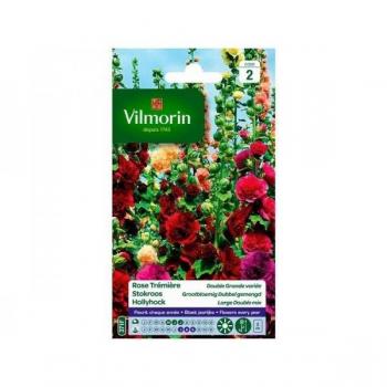 VILMORIN Rose trèschère double grande variée