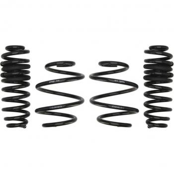 Molas de Suspensão EIBACH E10-65 032-04-22 Kit