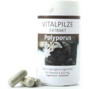 Polyporus Power 60 Capsules