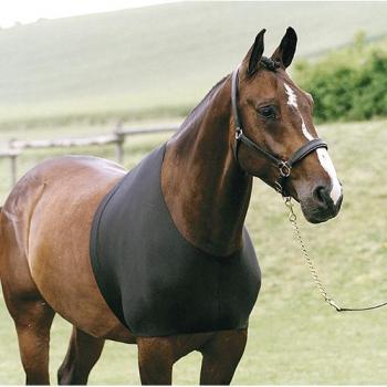 Protector Pectoral HorseGuard para Caballos