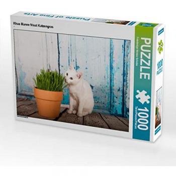 Khao-Manee-frisst-Katzengras-Calvendo-Puzzle-1000-Teile-Foto-Puzzle-für-glückliche-Stunden