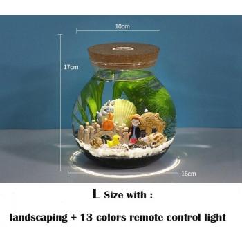 Mini Aquarium Portatif