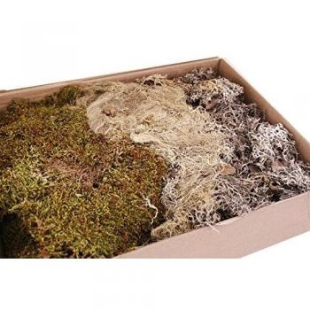 Boîte Fleuriste Mousse Séchée 500 g