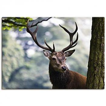 Wandbild Hirsch Artland – 1 Stück – 100 × 70 cm – Beige – Alubild & Poster in verschiedenen Größen