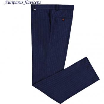 Men's Slim Fit Blue Stripe Formal Wedding Trousers