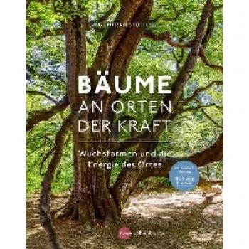 Bäume an Orten der Kraft: Wuchsformen und die Energie des Ortes