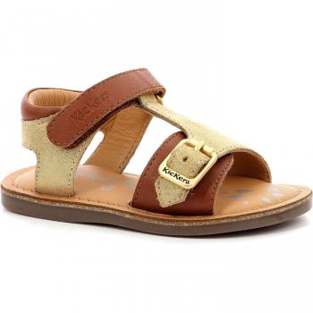 DIAZZ 116 “Oasis Camel”