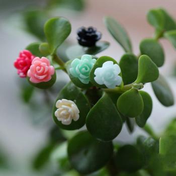5Pcs Random Size Miniature Simulation Flowers for Fairy Garden