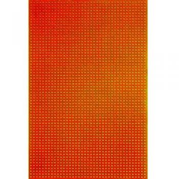 Rademacher WR-Typ 716-5 PCB without Cu-coating 160mm x 100mm 2.50mm Contact Spacing
