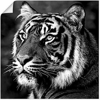 Tiger-Motiv Leinwandbild