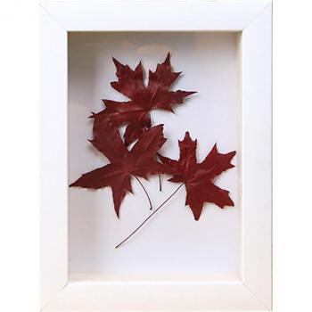 7-inch Vertical Photo Frame