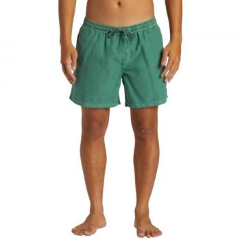 QUIKSILVER Herren Badehose Everyday Surfwash Volley 15 grün S