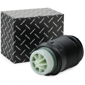 Ridex Molla pneumatica Autotelaio Assale Posteriore Dx 4119A0030