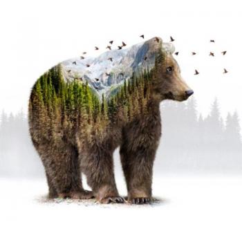 Full Round 5D Diamond Art - Bear Design 20x30cm