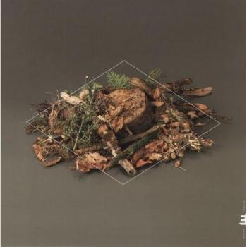 Sous-bois, Vinyle Coloré de Fergus Mccreadie