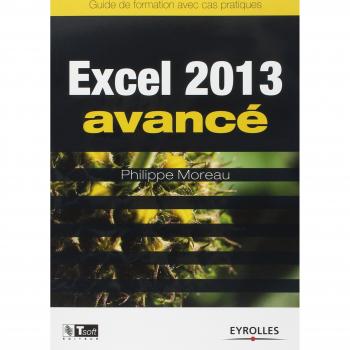 Philippe Moreau Excel 2013 Avancé : Guide De Formation Avec Cas Pratiques