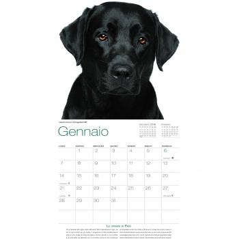 Cani. Calendario da Muro 2019